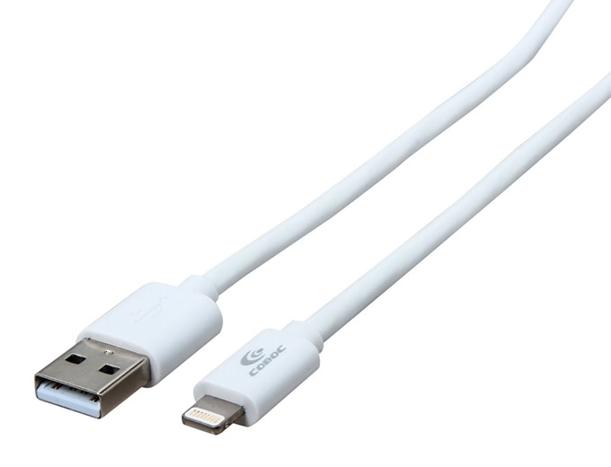 10ft Lightning Connector to USB Cable
