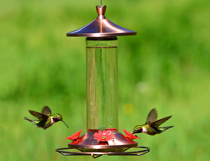 Perky-Pet Elegant Copper Hummingbird Feeder