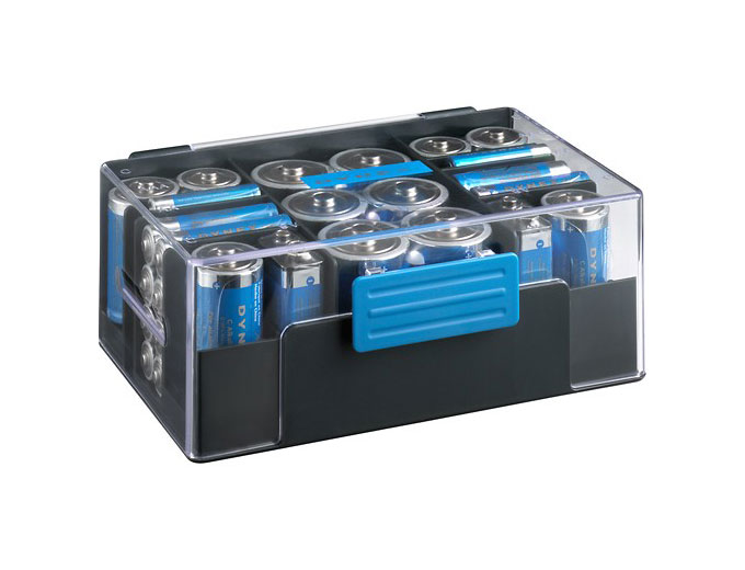 Dynex Assorted Batteries with Storage Box