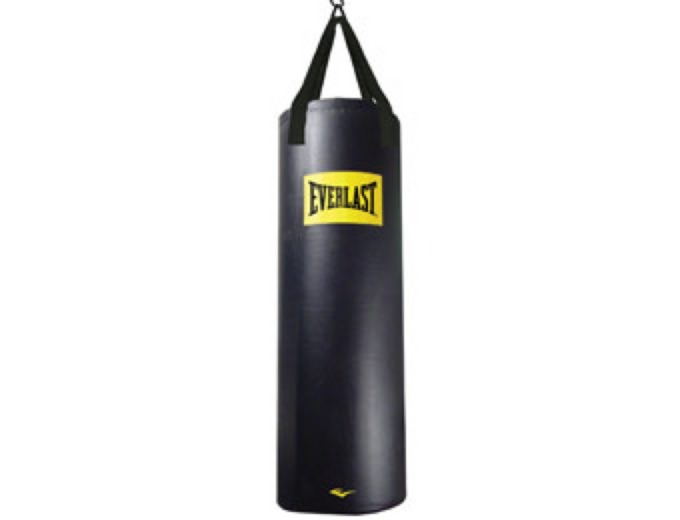 Everlast 100-Pound Boxing Heavy Bag